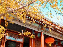 门面-小吊梨汤·北京菜·烤鸭(鸟巢店)