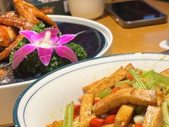 -大鸽饭(马王堆店)