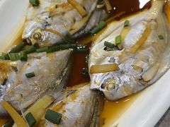 -红灯笼龙凤饭店(宁波老字号店)