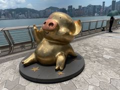 -星光大道