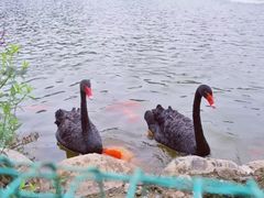 -春晖园度假酒店温泉