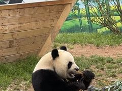 -秦皇岛野生动物园