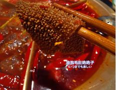 油泡毛肚-叁口煮老火锅(东升店)