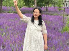 -东北农业大学