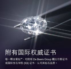 -周生生Chow Sang Sang(又一城店)
