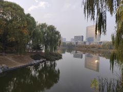 -大兴滨河森林公园