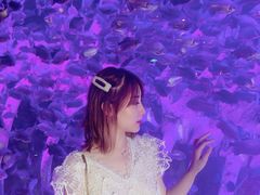 -哈尔滨波塞冬海底世界
