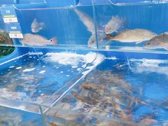 -船梆煮•蒸汽海鲜·生腌干蒸(五四广场店)