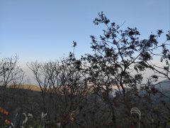 -海上云台山景区