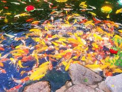 -下海庙