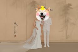 -蒙太奇婚纱摄影(万达店)