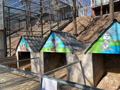 -北京鹿世界主题园