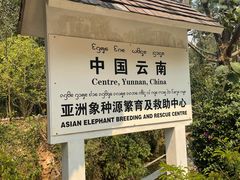 -野象谷景区