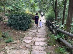 -冶父山国家森林公园