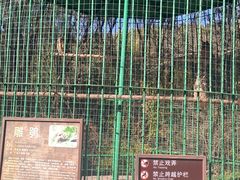 -沈阳森林动物园