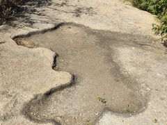 -白水寺森林公园