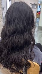 -IP SALON