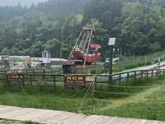 -武陵山森林公园