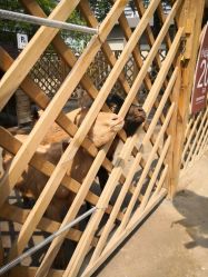 -萌宠亲子动物乐园(槐房万达店)