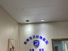-中农大我爱我爱24h动物医院·中医针灸·猫专科·骨科医疗中心(双井店)