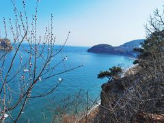 -棒棰岛宾馆景区