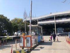 -上海植物园·停车场