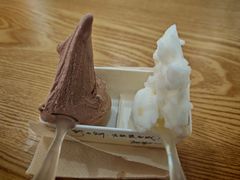 -野人先生Gelato(上海长宁龙之梦店)