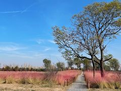-汉长安城未央宫国家考古遗址公园