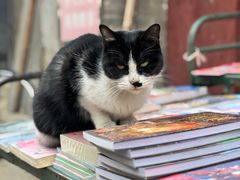 -韩城古城美食街