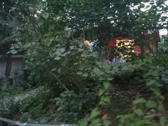-风车面包