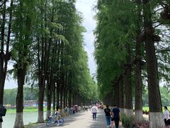 -月湖风景区
