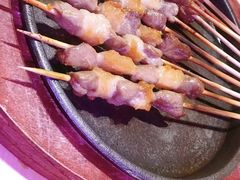 只撒盐的羊肉串-蒙料·手把肉(望京店)