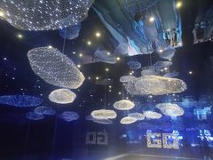 -盒马X会员店(上海森兰商都店)
