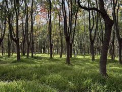 -嘉北郊野公园