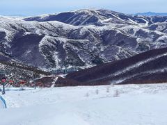-密苑云顶乐园(云顶滑雪场)