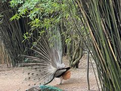 -宁波野生动物园