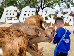 -盈香心动乐园