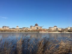 -莲花池公园