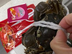-黄记大闸蟹专卖店·活蟹·醉蟹