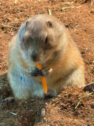 -Zoolung Zoolung动物主题公园(海信广场店)