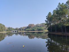 -长广溪湿地公园