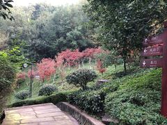 -翠屏公园