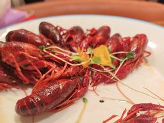 -杨氏青龙虾·羊蝎子(珠江路店)