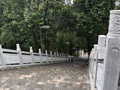 -老君山