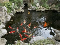 -鲤院·新中式美学·庭院餐厅(夫子庙店)