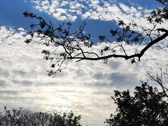 -橘子洲景区