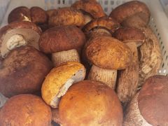 -菌之家·专业纯野生菌火锅·特色炒菌