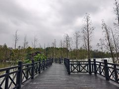 -海珠湖公园