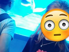 -多彩贵州城极地海洋世界