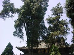 -报恩寺(平武县)